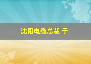 沈阳电缆总裁 于